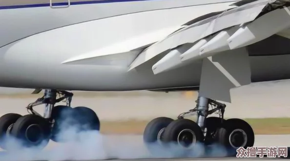 2024年度必玩！顶尖真实感飞机驾驶游戏TOP5精选，沉浸式飞行体验下载指南