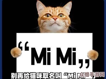 喵星人出动!揭秘猫咪最新永久地域网名是什么,铲屎官们准备好了吗？