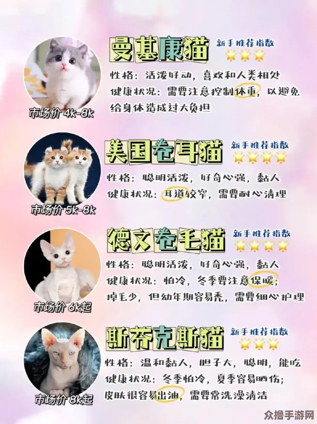 喵星人出动!揭秘猫咪最新永久地域网名是什么,铲屎官们准备好了吗？