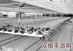 “精准灌溉系统hpc(蜜丸)：提升农作物产量与水资源利用效率的理想解决方案”