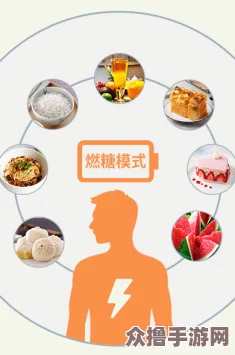 糖心vlog入口：记录生活点滴，分享美食与旅行的快乐时光