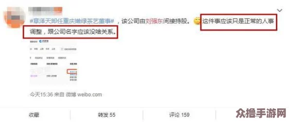 吃瓜无罪，追踪明星八卦背后的真相与热议事件的深度分析