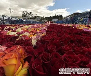 乌克兰精品摘花处破，用户评价揭示品质与体验之间的巨大差距引发热议