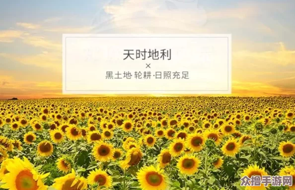 乌克兰精品摘花处破，用户评价揭示品质与体验之间的巨大差距引发热议