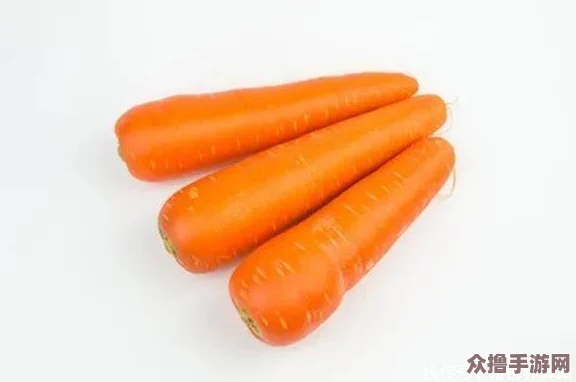 女的用胡萝卜用大头还是小头？哪种更适合减肥瘦身效果好