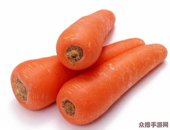 女的用胡萝卜用大头还是小头？哪种更适合减肥瘦身效果好