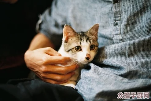 猫咪mav最新地域网名怎么取？2021年热门词大揭秘
