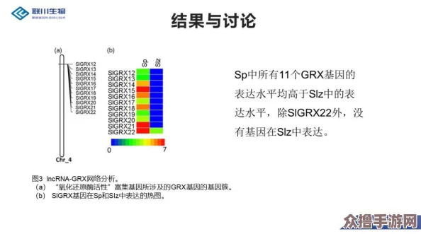 在9c1e7.3cm的产品中，用户评价揭示了独特的功能与卓越的性能，成为消费者心中的最佳选择