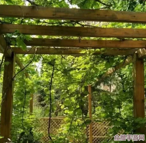 观看b站直播间户外：感受大自然的美妙风景和生机盎然的气息