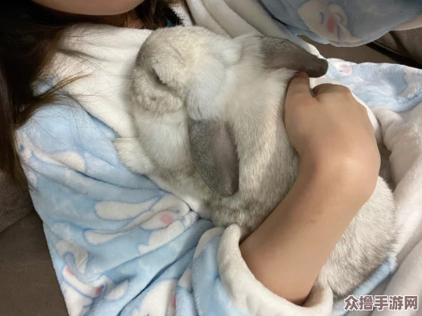 老师你小兔子真可爱，让人忍不住想抱一下