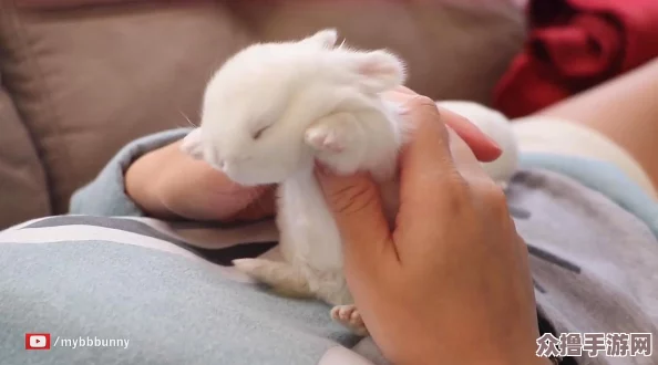 老师你小兔子真可爱，让人忍不住想抱一下