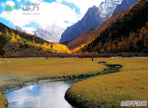 海角31.0绿意盎然：感受自然之美与生态保护的完美结合