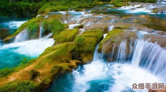 海角31.0绿意盎然：感受自然之美与生态保护的完美结合