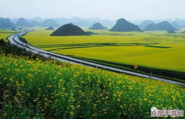 绿意盎然 海角AV电影：绝美风景与激情碰撞，令人陶醉不已