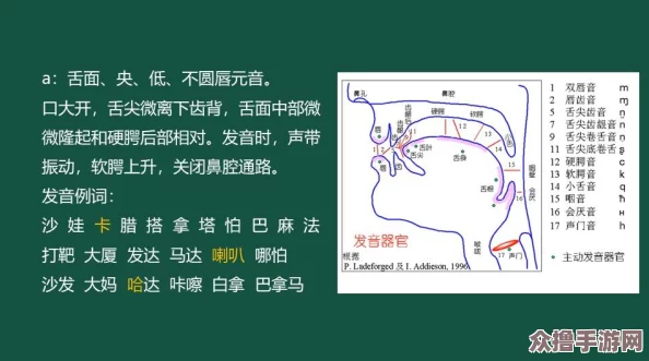 韵母攻略T系列102章：掌握发音技巧，提升语言表达能力的必备指南