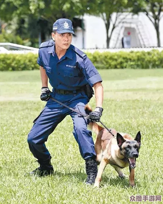 张警犬9分10秒头撞玻璃网盘，展现了勇敢与执着的精神，让人感受到忠诚与责任的力量