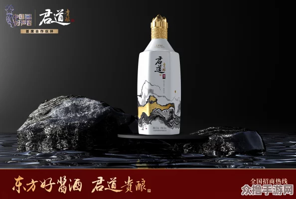 强弙the乀prO：如何在数字时代提升个人品牌与影响力的全新策略与实践分享