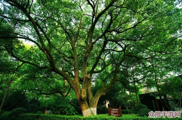 四叶草秘密研究所人口：揭示神秘生物与未来科技的交汇点