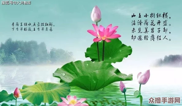 荷花1777. tⅴknow：感受夏日清凉，畅游自然之美与心灵的宁静
