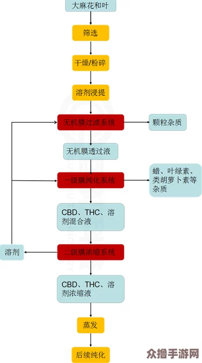 打造江湖金矿帝国：选址策略、建设蓝图至高效运营全路径指南
