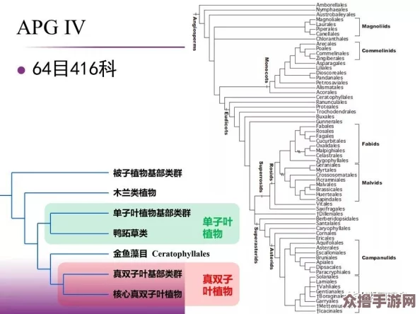 7x7x7x7x7x7x任意槽2023基础：绝对物超所值，性价比极高的全方位产品！