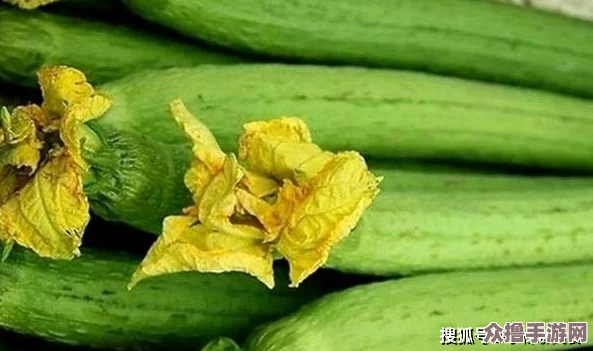 草莓丝瓜芭乐鸭脖奶茶的价格与口感完美结合，值得一试！