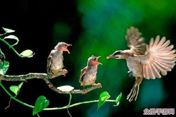 母与子且听风吟鹿子言四:亲情的温暖与成长的启示,感受生活中的点滴美好 母与子且听风吟鹿子言四:亲情的温暖与成长的启示,感受生活中的点滴美好