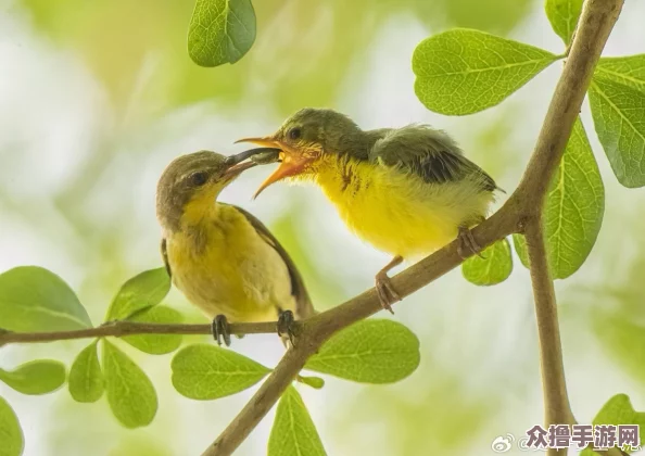 母与子且听风吟鹿子言四:亲情的温暖与成长的启示,感受生活中的点滴美好 母与子且听风吟鹿子言四:亲情的温暖与成长的启示,感受生活中的点滴美好