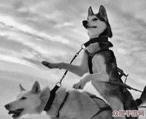 极夜黎明游戏最新兑换码大全，亲测有效速来领取福利